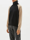 contrast raglan roll neck knit